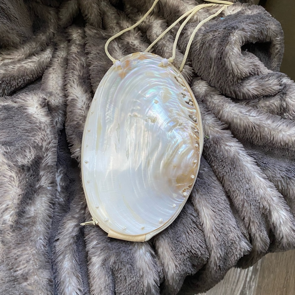 She’ll mother of pearl zippered clutch